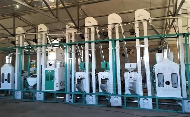 automatic 40-50tpd paddy rice mill