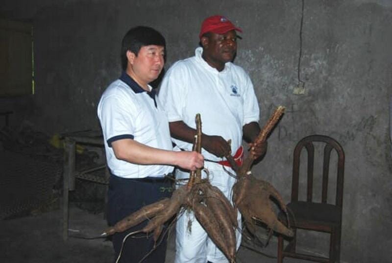 Our company CEO inspects and visits customers‘ cassava