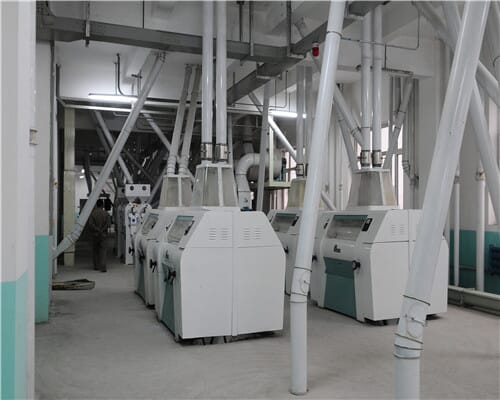 corn flour mill plant-5