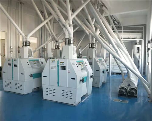 corn flour mill plant-6