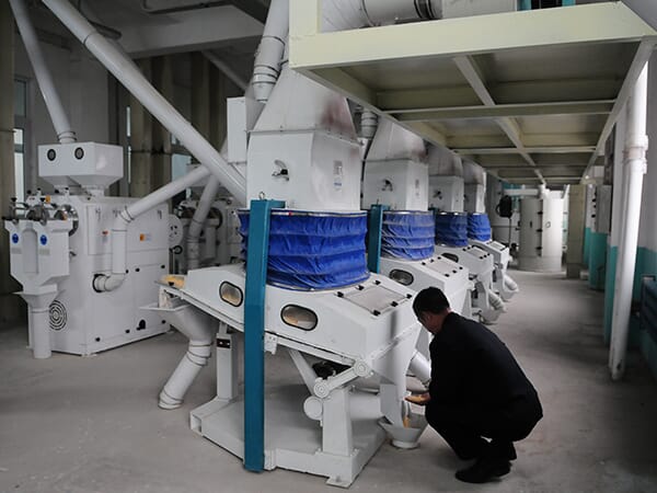 corn flour mill plant-3