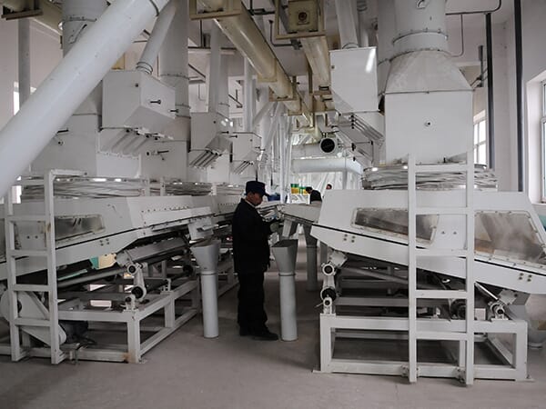 corn flour mill plant-4