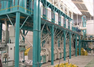 medium capacity flour mill plant